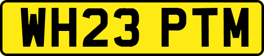 WH23PTM