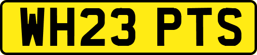 WH23PTS
