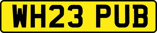 WH23PUB