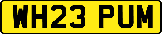 WH23PUM