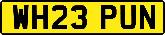 WH23PUN