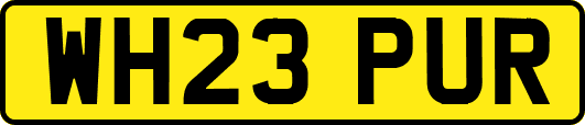 WH23PUR