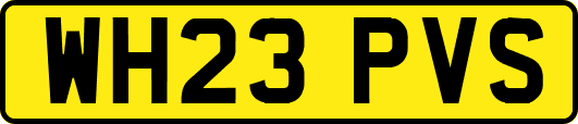 WH23PVS