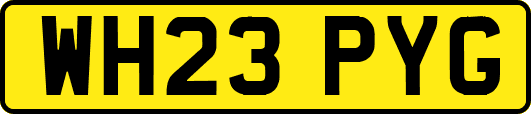 WH23PYG