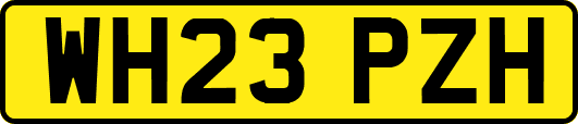 WH23PZH