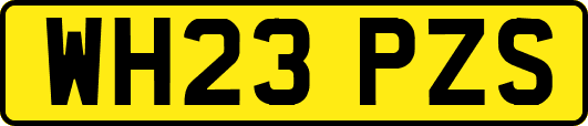 WH23PZS