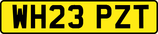 WH23PZT