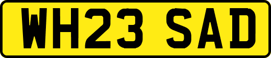 WH23SAD