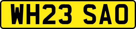 WH23SAO