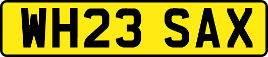 WH23SAX