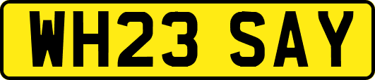 WH23SAY