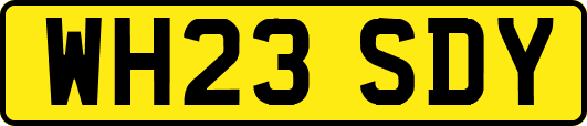 WH23SDY