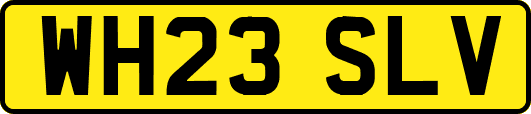 WH23SLV