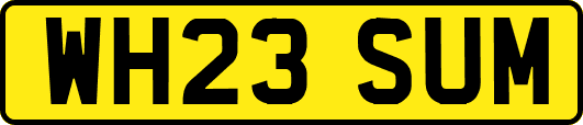 WH23SUM