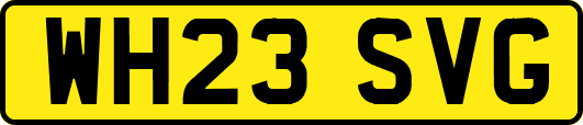 WH23SVG