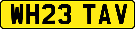 WH23TAV