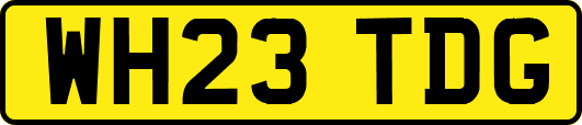 WH23TDG