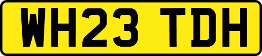 WH23TDH
