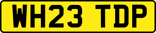 WH23TDP