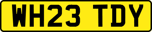 WH23TDY