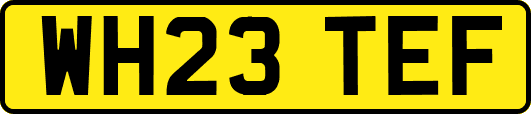 WH23TEF