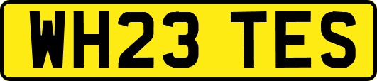 WH23TES