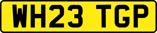 WH23TGP