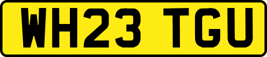 WH23TGU