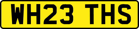 WH23THS