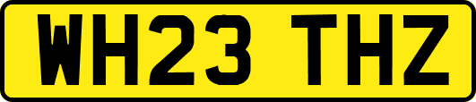 WH23THZ