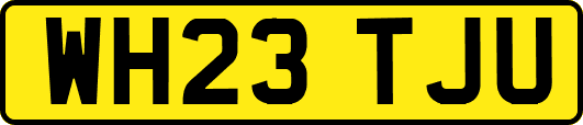 WH23TJU