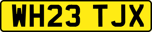 WH23TJX