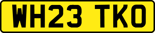 WH23TKO