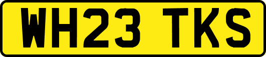WH23TKS