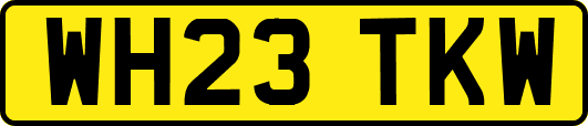 WH23TKW