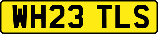 WH23TLS