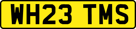WH23TMS