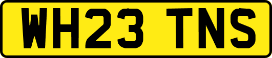 WH23TNS