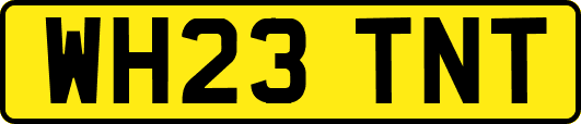 WH23TNT