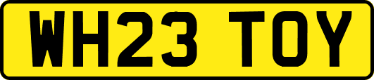 WH23TOY