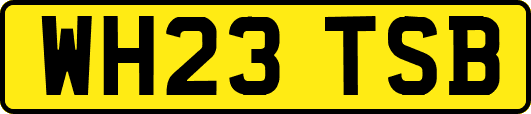 WH23TSB