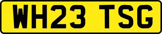 WH23TSG