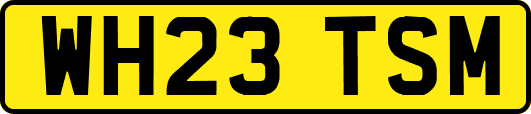 WH23TSM