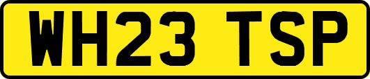 WH23TSP