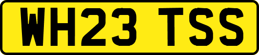 WH23TSS