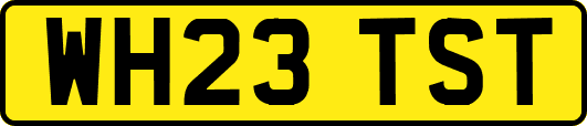 WH23TST