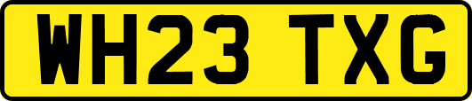 WH23TXG