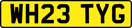 WH23TYG