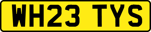 WH23TYS