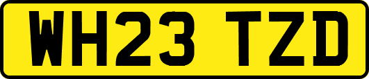 WH23TZD